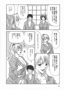 [Mitsu Miroku] Ari no Mama Sugata no Mama - page 28