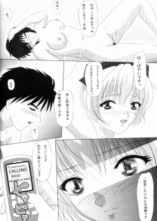 (C70) [Amusement Engineering (Serizawa Houri)] Shougai Chuusei round - IV (Full Metal Panic!) - page 13