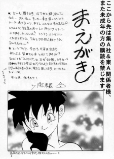 (C53) [Chirigami Goya, Fusuma Goten (Shouji Hariko)] HOHETO (Dragonball) - page 5