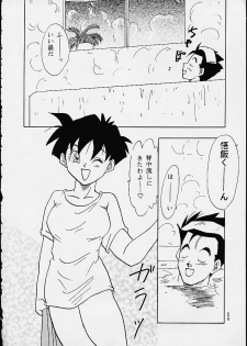 (C49) [Chirigami Goya / Fusuma Goten] Z (Dragonball) - page 24