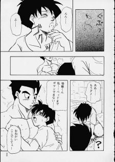 (C49) [Chirigami Goya / Fusuma Goten] Z (Dragonball) - page 29