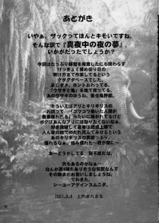 (C64) [Pururun Estate (Kamitsuki Manmaru)] Tropical Night Dreams - Manatsu no Yoru no Yume (Dead or Alive Xtreme Beach Volleyball) - page 40