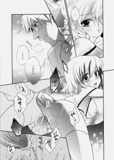 (C76) [Shinsen Gokuraku (Shuragyoku Mami)] Imitation Re:play (Tales of the Abyss) - page 24