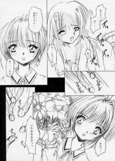 [R-SPIRITS] SPLENDID FLOWER GARDEN (Card Captor Sakura) - page 17