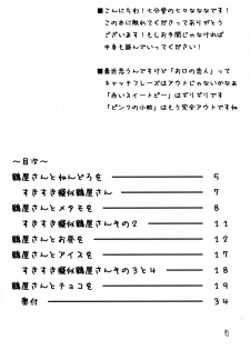 (C74) [Nanafundou (Nananana Nanana)] Suki Suki Tsuruya-san (The Melancholy of Haruhi Suzumiya) - page 3