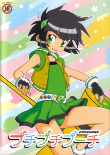 (C71) [prism labo. (Denji Ryoku)] PPGZBook Puchi Puchi Puuchi (Demashita Powerpuff Girls Z) - page 1