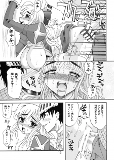 (C69) [Kitkaters (Takaoka Motofumi)] HIGHER-HIGH (Ragnarok Online) - page 14