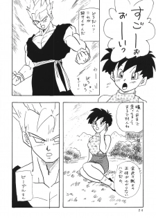 (C45) [Chirigami Goya, Fusuma go Ten (Shoji Hariko)] XXX (DRAGON BALL) - page 23
