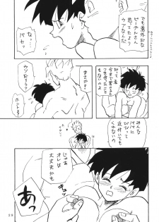 (C45) [Chirigami Goya, Fusuma go Ten (Shoji Hariko)] XXX (DRAGON BALL) - page 28
