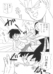 (C45) [Chirigami Goya, Fusuma go Ten (Shoji Hariko)] XXX (DRAGON BALL) - page 24