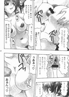 (C69) [Acid Noel (Mitsuki Rintarou)] Icon (GUN X SWORD) - page 18