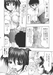 (C69) [Acid Noel (Mitsuki Rintarou)] Icon (GUN X SWORD) - page 24