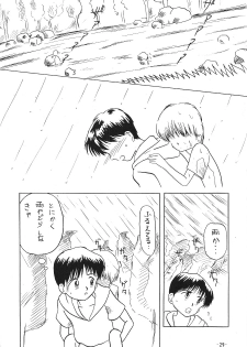 [Himawari Endan] Pokota no Hatsujou (Hime-chan no Ribbon) - page 30