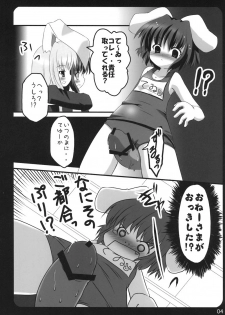 (Mimiket 15) [PoM (Monchy)] Usa Uso Bangaihen (Touhou Project) - page 4