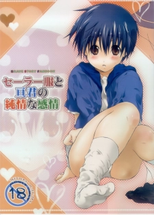 [Kyuujitsu Gakkou (Kouyou Sakaki)] Sailor-huku to Wataru-kun no Junjou na Kanjou (Brave Story) [Incomplete] - page 1