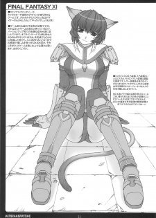(C65) [PHANTOM CROSS (Miyagi Yasutomo)] Mithran Spotting (Final Fantasy XI) - page 22