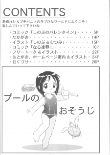 [PETIT BUNNY (Shimazaki Lem)] Hina Hina vol. 1 (Love Hina) - page 3