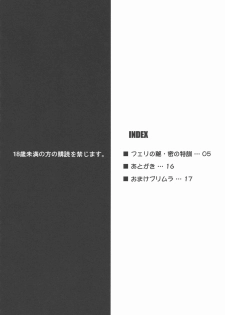 (COMIC1☆3) [Nirvana Soft (HIRONII)] Felli no Hi-Mitsu Tokkun (Chrome Shelled Regios) - page 4
