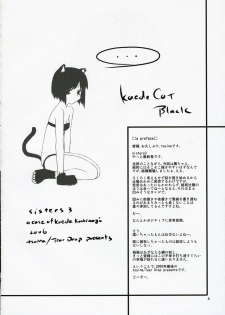 (C71) [Tear Drop (tsuina)] Sisters 3 (Kizuato) - page 3