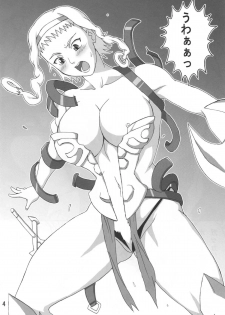(C76) [Naruho-dou (Naruhodo)] Reina Hon (Queen's Blade) - page 5