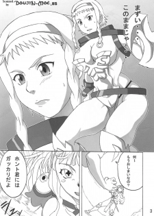 (C76) [Naruho-dou (Naruhodo)] Reina Hon (Queen's Blade) - page 4