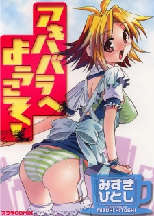 [Mizuki Hitoshi] Akihabara e Youkoso! - page 1