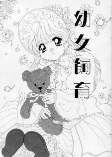 [Kurokawa Mio] Youjo Shiiku - page 2