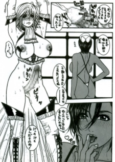 (C68) [H&K (Kotobuki Kazuki)] Kakutou Ane Ane (Rumble Roses) - page 11