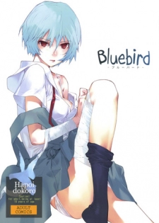 (C77) [Hapoi-dokoro (Okazaki Takeshi)] Bluebird (Neon Genesis Evangelion)