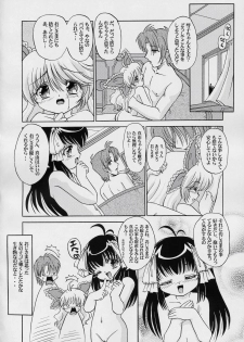 (C67) [ABSOLUTE FANTASY (Tenshou Akira)] Seiai Youjo - page 19