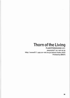 (C71) [PLANET PORNO (Yamane)] Thorn of the Living (Kino no Tabi) - page 29