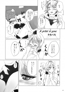 (Kouroumu 5) [Kuronisiki (Takaharu)] A petal is gone (Touhou Project) - page 4