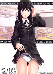 (C76) [IRODORI (SOYOSOYO)] Soyo*1 Gami (Amagami) - page 1