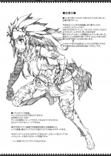 (C77) [Erect Touch (Erect Sawaru)] Invisible Hunter 2 (Monster Hunter) - page 39