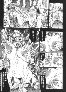 (C77) [Erect Touch (Erect Sawaru)] Invisible Hunter 2 (Monster Hunter) - page 24