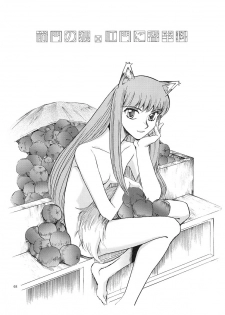 [Okinawa Taieki Gunjinkai] Zenmon no Ookami x Koumon ni Kousinryou (Spice and Wolf) - page 2