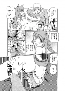 [Okinawa Taieki Gunjinkai] Zenmon no Ookami x Koumon ni Kousinryou (Spice and Wolf) - page 12