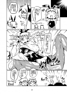 [juvecross (Karamai)] Queens' play (Queen's Blade) - page 24