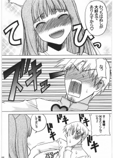 (C76) [Kacchuu Musume (Hisahiko, Shimamoto Harumi)] Smalt Leather (Spice and Wolf) - page 21