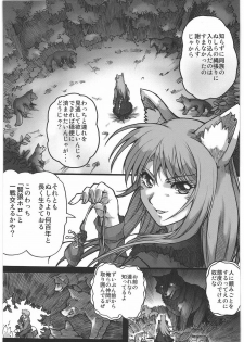 (C76) [Kacchuu Musume (Hisahiko, Shimamoto Harumi)] Smalt Leather (Spice and Wolf) - page 28