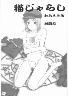 (COMIC1☆3) [Shuudan Bouryoku (Murasaki Shu)] Neko Zyarashi (Natsume Yuujin-chou) - page 3