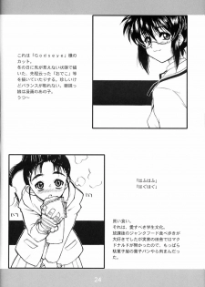 (C63) [AXZ (Harukaze Koucha)] Akugou Sanmai Ni | BLACK BOX (Neon Genesis Evangelion) - page 23