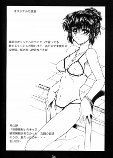 (C63) [AXZ (Harukaze Koucha)] Akugou Sanmai Ni | BLACK BOX (Neon Genesis Evangelion) - page 32