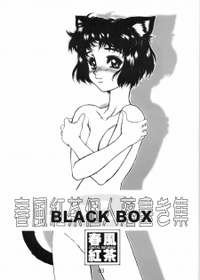 (C63) [AXZ (Harukaze Koucha)] Akugou Sanmai Ni | BLACK BOX (Neon Genesis Evangelion) - page 2