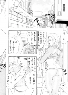 (C54) [Bijogi Junction (Kugayama Rikako)] DacchuuNyuu - page 13