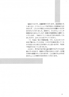 (SC7) [D'Erlanger (Yamazaki Shou)] Sexual Vaiography No.XXX (Amazing Nurse Nanako) - page 3