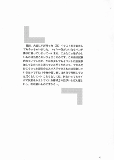 (CR26) [D'Erlanger (Yamazaki Shou)] ex (Is) - page 3
