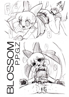 (C70) [Dakimakuma, Jingai Makyou Club (WING☆BIRD)] CHARA EMU W☆BC 001 Demashita! Power Puff Girls Z 001 (Demashita Power Puff Girls Z) - page 5