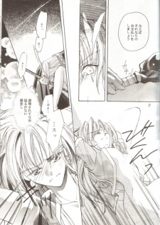 (C55) [Y.M. Sensha (Matsumoto Himiko)] Ladies and Gentlmen (Slayers) - page 24