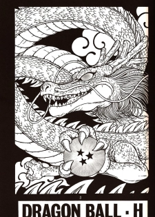 (C71) [Rehabilitation (Garland)] DragonBall H Maki San (Dragon Ball Z) - page 2